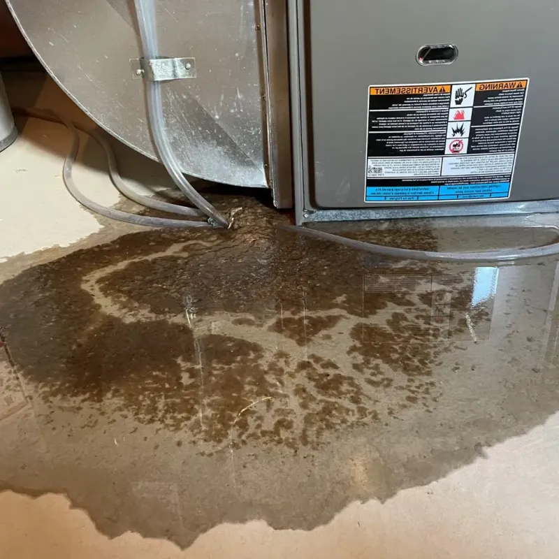 Pipe Burst and Leak Restoration in Palmer Heights, PA